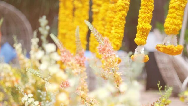 Marigold flowers wedding decor. Hanging vertically yellow flower garlands. Marigold flowers in garden blown by the wind. Indian traditional ceremony venue decoration