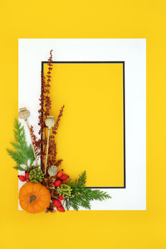 Halloween Autumn Fall Thanksgiving background border frame design on yellow. Seasonal composition for greeting card, label, menu, invitation, gift tag.
