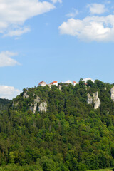 Fototapeta premium Schloss Werenwag