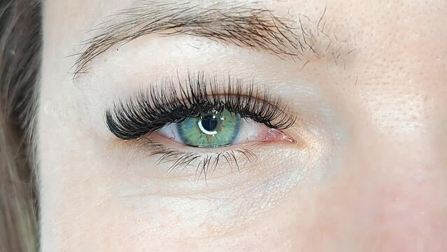 Close up of eye with eyelash extensions ,beauty salon treatment ,2d volume, 3d volume, classical lashes,Russian volume,megavolume, new set.