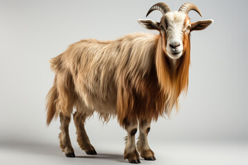 Happy smile goat  isolated on white background Generative AI