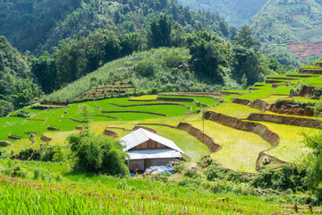 countryside view of sapa valley, vietnam