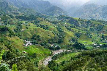 Fototapeta premium countryside view of sapa valley, vietnam