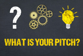 What Is Your Pitch?	
