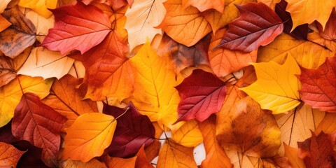 Naklejka na ściany i meble Autumn colorful leaves background, Falling leaves natural background, generative ai