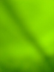 Green texture background