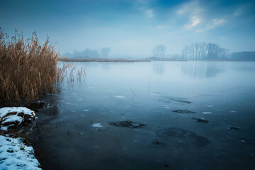 Winter landscape with a view of the shore of a frozen lake on a foggy day