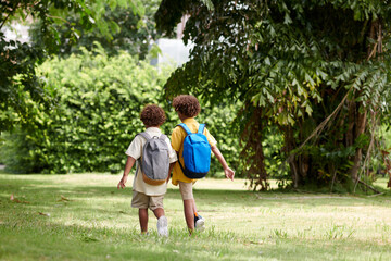 Obraz premium Brothers holding hands when walking in park on sunny day, view from behind