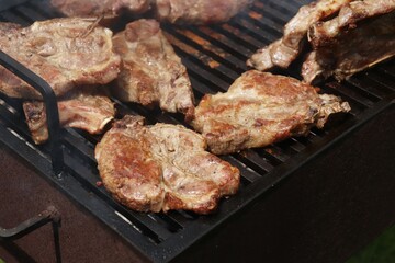grilled meat on the grill