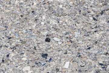 Background of Broken Shells