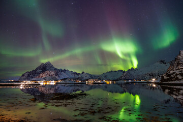 Fototapeta na wymiar Green Aurora over the Lofots - Norway