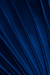 red feather tit macro photo. texture or background