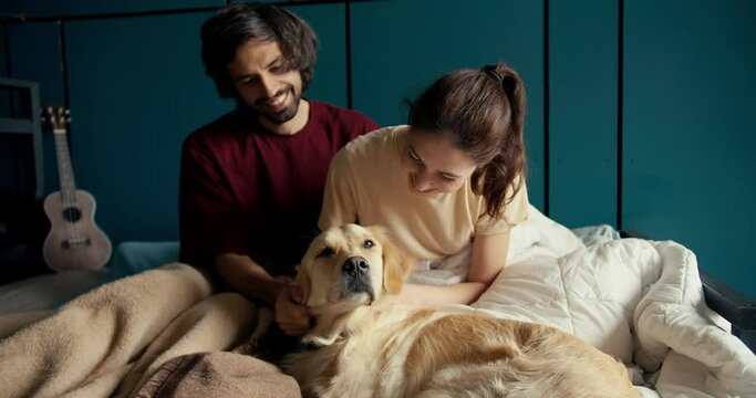 Happy couple together with their pet: A guy and a girl play with their dog of light coloring in the bed of their house against the background of a turquoise wall