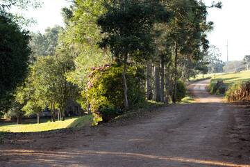 Road in rural area in Mariópolis - Parana - Brazil
