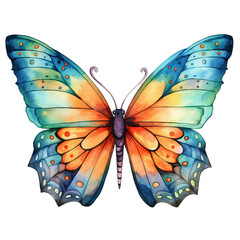 watercolor butterfly isolated