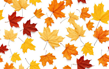 Leaves in warm fall colors like orange, yellow, brown and red. Isolated on a white background. Concept of fall season. Repeatable pattern.