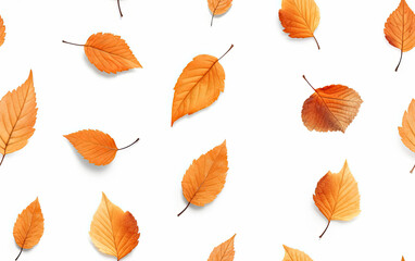 Obraz premium Leaves in warm fall colors like orange, yellow, brown and red. Isolated on a white background. Concept of fall season. Repeatable pattern.