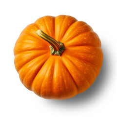 pumpkin isolated on transparant background PNG