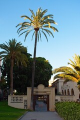 Main gate with a tall palm tree at Doramas Park (Parque Doramas), in Las Palmas de Gran Canaria, Spain
