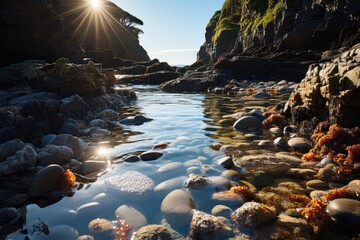 A Dance of Light and Water: Discovering the Mesmerizing Tidepool at the Rocky Seashore, Capturing the First Rays of Sunlight