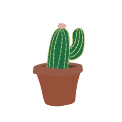 Foto op Aluminium Cactus in pot cactus in a pot. blooming cactus. domestic plant. sticker of cute cactus with pink flower.