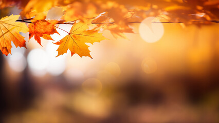 Naklejka na ściany i meble Viele schöne gelbe Herbstblätter mit Gegenlicht die Sonne als Hintergrundmotiv und Druckvorlage Querformat, ai generativ