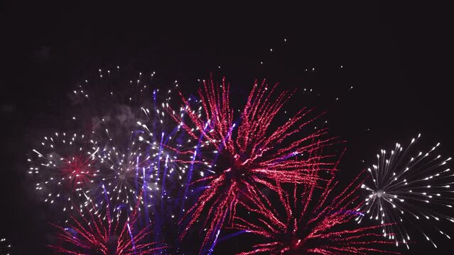 Beautiful firework in dark sky. The colors are red, white and blue