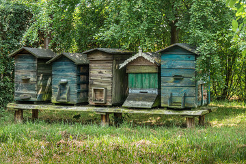 old hives for bees