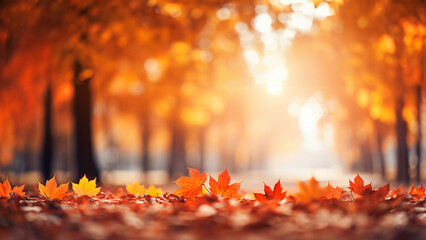 Viele schöne gelbe Herbstblätter mit Gegenlicht die Sonne als Hintergrundmotiv und Druckvorlage...