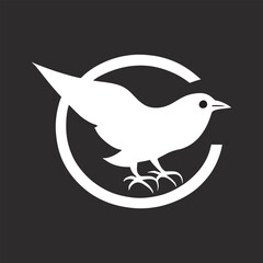 Fototapeta premium dove on a branch