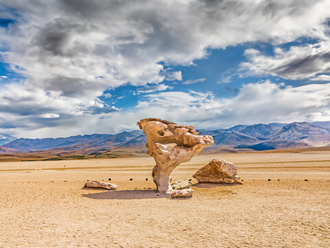 Arbol de Piedra (tree of rock), the famous stone tree rock formation created by wind, in the Siloli desert in Bolivia