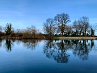 A beautiful blue reflection view of trees on the banks of the River Thames in Berkshire, UK. 