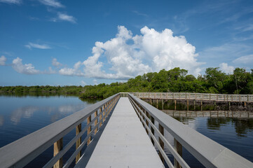 West Lake boardwalk in Everglades National Park, Florida under sunny summer cloudscape.
