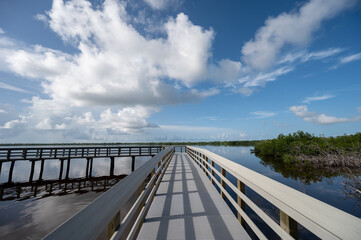 West Lake boardwalk in Everglades National Park, Florida under sunny summer cloudscape.