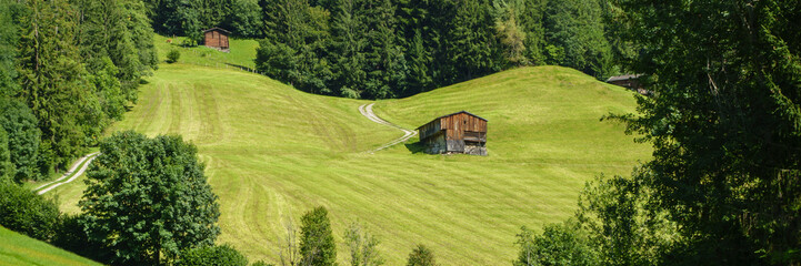 Panorama eines Holzhauses auf einer Waldlichtung am Forstweg im Zillertal