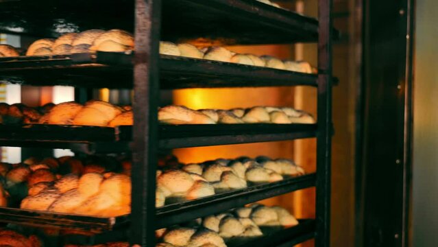 Female Baker taking movable Rack with freshly baked Braided Bread out of Oven. Woman dressed in white Uniform and Cap taking Baking to Shop Counter