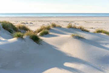 Dünenlandschaft an der Nordsee