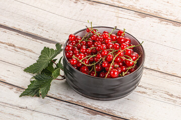 Sweet ripe red currant berries