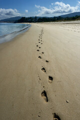 human footsteps on the beach backlit