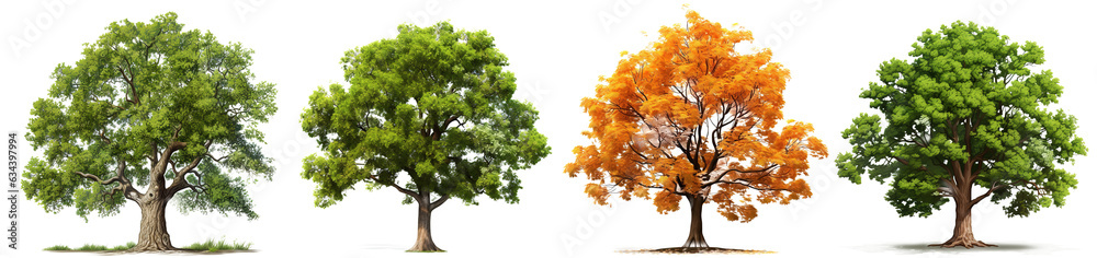 Wall mural collection of isolated trees. suitable for use in architectural design or decoration work. isolated 