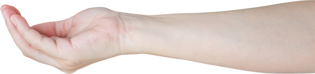 Woman hand gesture holding something isolated on white background