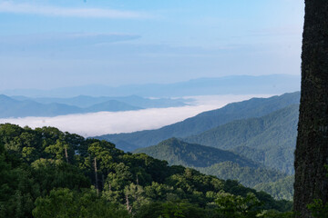 Naklejka premium dense river of fog, smog or smoke, as early morning moisture winds through the lower river valley as mist and precipitation in the high rolling hills of rural America, seen from a roadside overlook