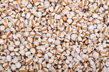 Dry organic job's tear background