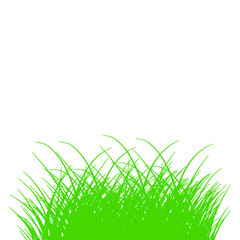 Illustration of Green Grass