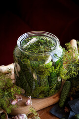 Pickled cucumbers in brine with the addition of dill flowers and garlic cloves in a jar, close up view