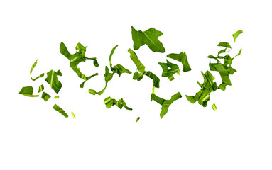 Chopped arugula leaves as green seasoning flying, falling isolated on white, transparent...