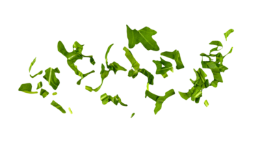 Chopped arugula leaves as green seasoning flying, falling isolated on white, transparent background, PNG