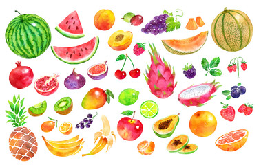 Hand drawn watercolor illustration collection of fruit