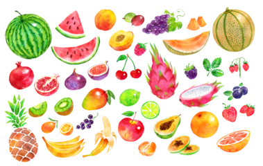 Hand drawn watercolor illustration collection of fruit