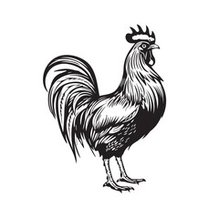 Fototapeta na wymiar Rooster in icon, logo style. 2d vector illustration in cartoon, doodle style. Black and white